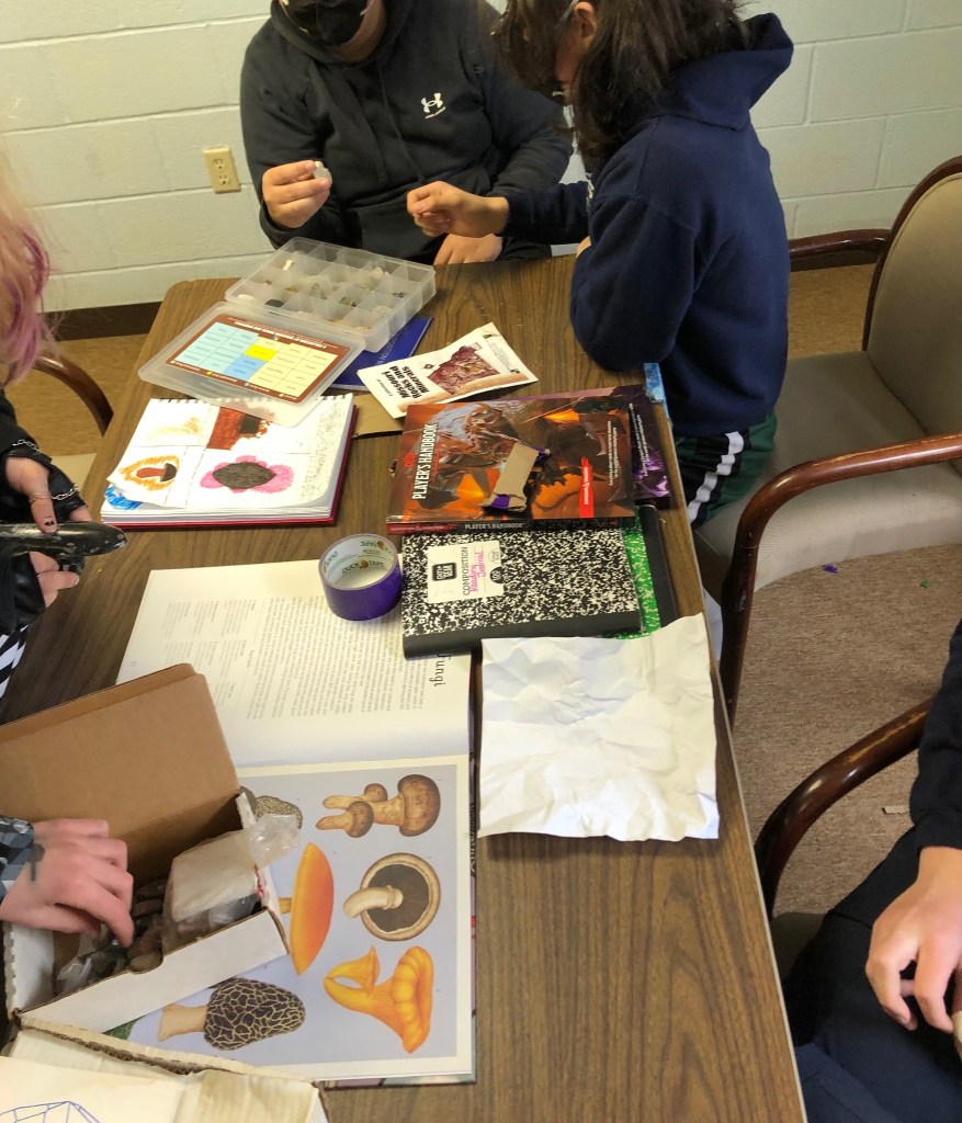 Junior high students examine rock and mineral collections during a science exploration
